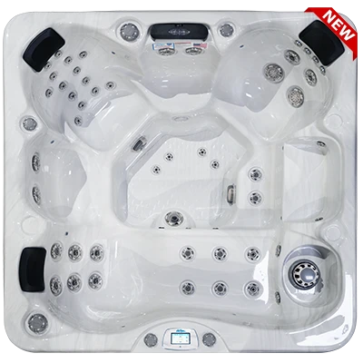 Avalon-X EC-849LX hot tubs for sale in Fargo